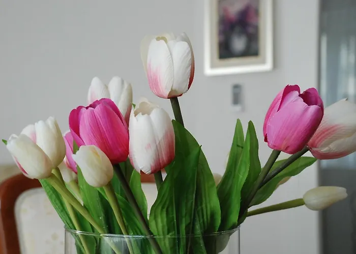 Mimi アパート サラエヴォ